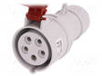 3-VAIHE AC VIRTALIITIN - PISTOKE - NAARAS - 16A - 400VAC - IP44 - AC liittimet ja rungot - PB.1040 - 1
