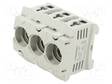 RASIA - D01 - DIN-KISKOLLE - 16A - 400V - NAVAT: 3 - MUOVI - Sulakepitimet - X1032490 - 1