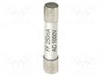 SULAKE - 250MA - 1KV - 6,3X32MM - 10KPL - Mittareiden lisävarusteet ja tarvikkeet - PKT-P7600 - 1