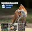 Ultrasonic Defend - foxes & martens, max. 200m²,with flash - Hiiren- ja jyrsiänkarkoittimet - EDX-1112000100 - 2