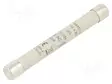 10A - 1KVAC - GS - 10X85MM - Muut teollisuussulakkeet - 494010 - 1