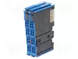 AUTOMATION MODULE: ANALOG INPUT - IN: 2 - 24X100X67.8MM - IP20 - 24VDC - PLC ajurit - 750-481040-000 - 1