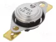 TERMOSTAATTI - SPST-NC - 160°C - 16A - 250VAC - ±5°C - 250VAC/16A - Teollisuus termostaatit - AR03W1S3-160 - 1