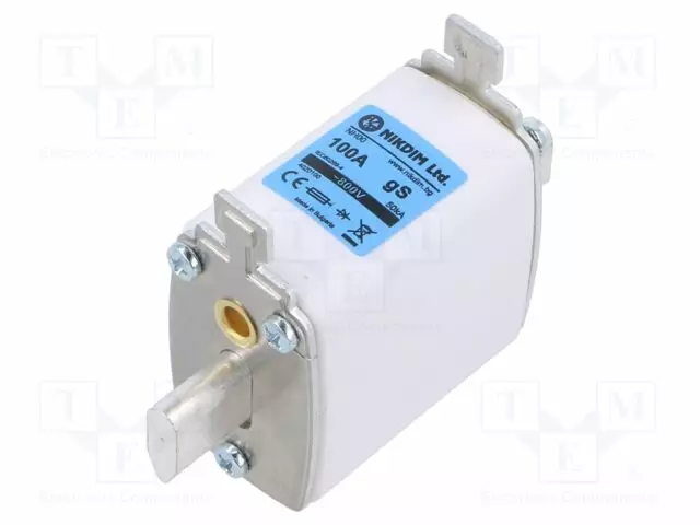 NH00 - TEOLLISUUSSULAKE - 100A - 800VAC - GS - Sulakkeet NH - 4020100 - 1