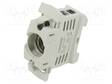 RASIA - D02 - DIN-KISKOLLE - 63A - 400V - NAVAT: 1 - MUOVI - Sulakepitimet - Y1032491 - 1