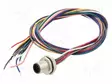 LIITIN: M12 - EPIC® M12 FEAM12F-0.5-M16 - M12 liittimet - 381166921 - 1
