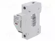 RASIA - 10X38MM - DIN-KISKOLLE - 20A - NAVAT: 1 - 1KVDC - Sulakepitimet - 52581 - 1