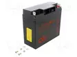 AKKU: LYIJYHAPPO - 12V - 17AH - AGM - AUTOMAATTINEN - 181X76,2X167MM - Lyijyhyytelöakut - ACCU-GP12170B1 - 1