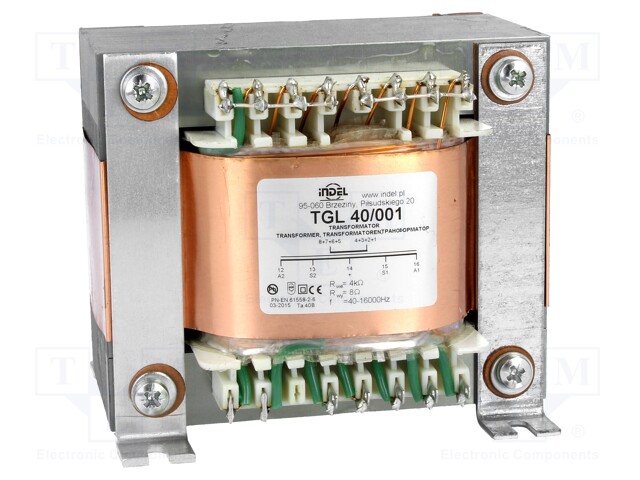 AUDIOMUUNTAJA - 40VA - TOISIOKÄÄM.IMP,: 8OHM - 0,04÷16KHZ - Muuntajat kiinnityksen kanssa - TGL40001 - 1