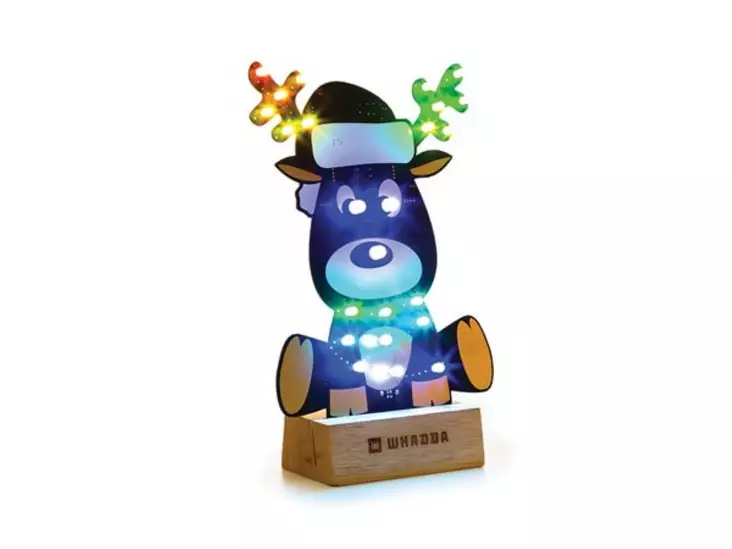 RUDOLF XL RAKENNUSSARJA & OHJELMOINTIKITTI - Whadda XL rakennussarjat - WSPXL101 - 1