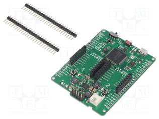 KEHITYSALUSTA - ARM TEXAS - PROTOTYYPPIPIIRILEVY - KOMP: MSP432P401R - NXP kehityspaketit - MIKROE-2502 - 1