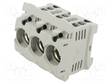 RASIA - D02 - DIN-KISKOLLE - 63A - 400V - NAVAT: 3 - MUOVI - Sulakepitimet - Z1032492 - 1