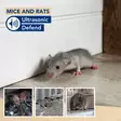 Ultrasonic Defend mice & rats - indoor & outdoor - Hiiren- ja jyrsiänkarkoittimet - EDX-1112000112 - 2