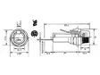 SULAKEPEDIN PANEELIIN 6,35x31,8mm (PTFH6402) - Sulakepitimet - FCH632 - 2