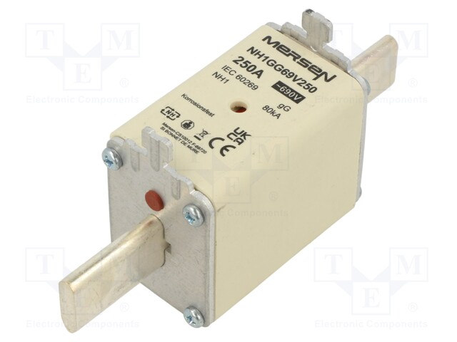 250A - 690VAC - 400VDC - GG - NH1 - Sulakkeet NH - W233262 - 1