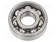 KUULALAAKERI - SISÄØ: 12MM - ULKOØ: 32MM - Kuulalaakerit - SKF6201C3 - 1