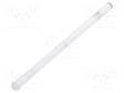 LED-VALOKUIDUT - Ø2MM - PIT: 29,2MM - PYÖREÄ - ETUOSA: KUPERA - SUORA - LED valojohtimet - FIX-LEM-193 - 1