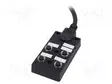 HAAROITIN - A-KOODI-DEVICENET / CANOPEN - PIN: 5 - IP67 - 2A - 24V - 3M - M12 liittimet - DB125A4CABDPS7B03 - 1