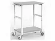 KÄRRY - ESD - W: 700MM - D: 500MM - TERÄS - HARMAA (VAALEA) - 10KOHM÷100MOHM - ESD toimistotarvikkeet - ESD-CART03 - 2