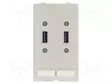 LIITIN: NAARASLIITIN - NAARAS - SUORA - A - DATA MODULE (2X USB) - Erikoisliittimet - 39500020093 - 1