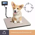 Digital postal scale with external display - 100 kg / 10 g - Vaa'at - VTBAL503 - 77
