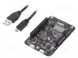 KEHITYSALUSTA - ARM NXP - USB A-USB B MICRO KAAPELI,PERUSLEVY - NXP kehityspaketit - FRDM-K32L2B3 - 1