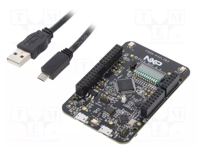 KEHITYSALUSTA - ARM NXP - USB A-USB B MICRO KAAPELI,PERUSLEVY - NXP kehityspaketit - FRDM-K32L2B3 - 1