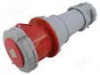 KOJELIITIN NAARAS - 125A - 400V - IEC 60309 - IP67 - AC liittimet ja rungot - QX1454 - 1