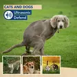 Ultrasonic Defend - cats & dogs, max. 200m² - Hiiren- ja jyrsiänkarkoittimet - EDX-1112000104 - 2