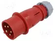 KOJELIITIN UROS - 32A - 400V - IEC 60309 - IP44 - PIN: 5 - AC liittimet ja rungot - QX4 - 1