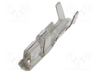 NAARASKONTAKTI - PNI - KUPARISEOS - TINATTU - PURISTETTAVA - 3A - 2MM - Signaaliliittimet rasteri 2,00mm - SPND-002T-C0.5 - 1