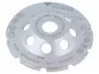 SANDING PLATE - Ø: 125MM - CONCRETE - HOLDER: ASSEMBLY HOLE - 22.23MM - Katkaisu- ja hiomalaikat - NOZAR-PL6701215 - 1