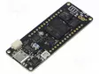 KEHITYSALUSTA - ARDUINO PRO - PROTOTYYPPIPIIRILEVY - KOMP: ECC608 - Arduino mikrokontrollerit - ABX00045 - 1