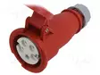 KOJELIITIN NAARAS - 16A - 400V - IEC 60309 - IP44 - AC liittimet ja rungot - QX5 - 2