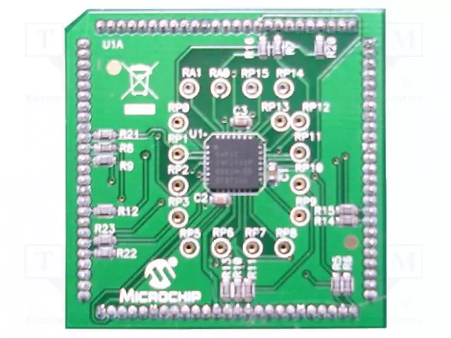 PLUG-IN-MODUULI - DSPIC33FJ12GP202 - Kehityspakettien lisätarvikkeet - MA330015 - 1