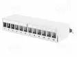 PATCH PANEL - KEYSTONE - HARMAA - PORTTIEN LUKU: 12 - KORKEUS: 1U - Tietokonetarvikkeet - muut - DN-93706 - 1