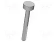 LIITIN - MESSINKI - HOPEOITU - Ø: 20MM - LITTEÄ - KT-2526 - L: 75MM - Mittausneulat - KT-2526 - 1