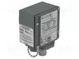 AUTOMATION MODULE: PRESSURE SWITCH - RELATIVE PRESSURE - 5÷250PSI - Pressostaatit - 9012GAW26 - 1