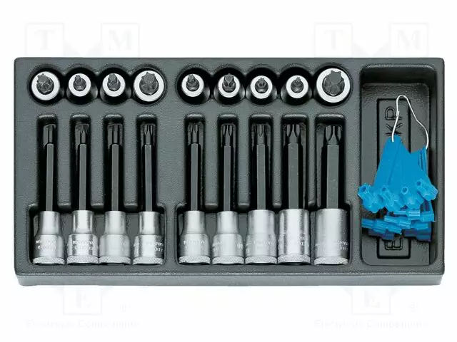 TOOLS SET: SOCKET BITS - IN A FOAM TRAY - TORX® - TOOL TROLLEY - 1/2" - Hylsyavainsarjat - GEDORE-1402226 - 1