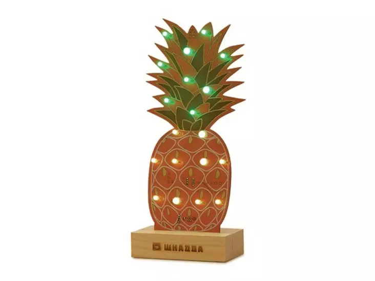 ANANAS XL RAKENNUSSARJA - Whadda XL rakennussarjat - WSXL107 - 1