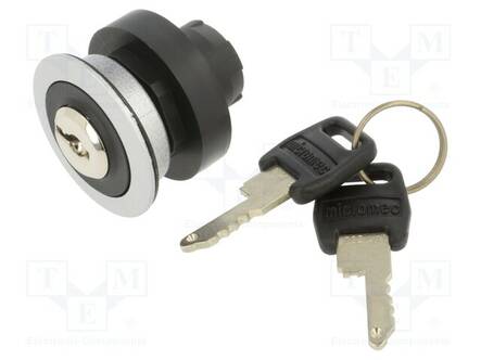 KYTKIN: KIERTO- ID-AVAIMELLA - 22MM - ASENNOT: 2 - IP65 - AS: 2 - Taulukytkimet, standardi 22mm - RRJSSA18 - 1