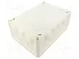 KYTKENTÄRASIA - X: 201MM - Y: 285MM - Z: 120MM - IP66 - VALKOINEN - Kytkentärasiat - OBO-2007568 - 2