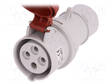 3-VAIHE AC VIRTALIITIN - PISTOKE - NAARAS - 16A - 400VAC - IP44 - AC liittimet ja rungot - PB.1039 - 1