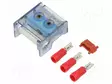 MICROSWITCH - Sulakepitimet - 485259 - 1
