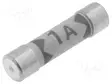SULAKE - 1A - 240V - Mittareiden lisävarusteet ja tarvikkeet - BM817FUSE-1A - 1