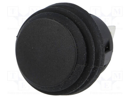 PAINOKYTKIN - AS: 2 - DPST-NO - 6A/250VAC - OFF-(ON) - IP65 - 1,5KV - Standardikytkimet - R13527A202BB - 1