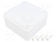 ASENNUSKOTELO - X: 100MM - Y: 100MM - Z: 50MM - VALKOINEN - Yleiskäyttöiset kotelot - PW-S-BOX116B - 1