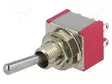 VIPUKYTKIN - ASENNOT: 2 - DPDT - ON-(ON) - 5A/125VAC - 5A/28VDC - -30÷85°C - Vipukytkimet - IC2501T1B1M1QE - 1