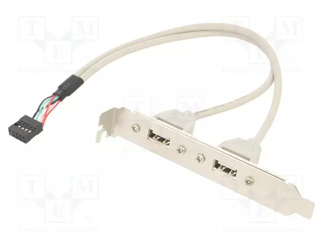 ADAPTERI - USB A-PISTORASIA X2,KOUKKULIITIN 10PIN - 0,25M - Tietokonetarvikkeet - muut - CCUSBRECEPTACLE - 1