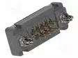 D-SUB LIITIN - D liittimet - 1731090653-MOL - 1